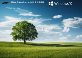 雨林木风 Windows10 22H2 64位 专业精简版 V2023