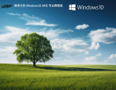 雨林木风 Windows10 22H2 64位 专业精简版 V2023