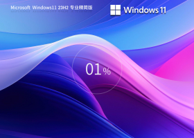 【轻便,简洁】Windows11 23H2专业精简版64位系统(低占用)
